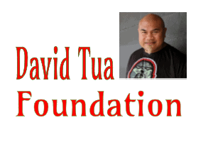 david tuation foudation nz partner